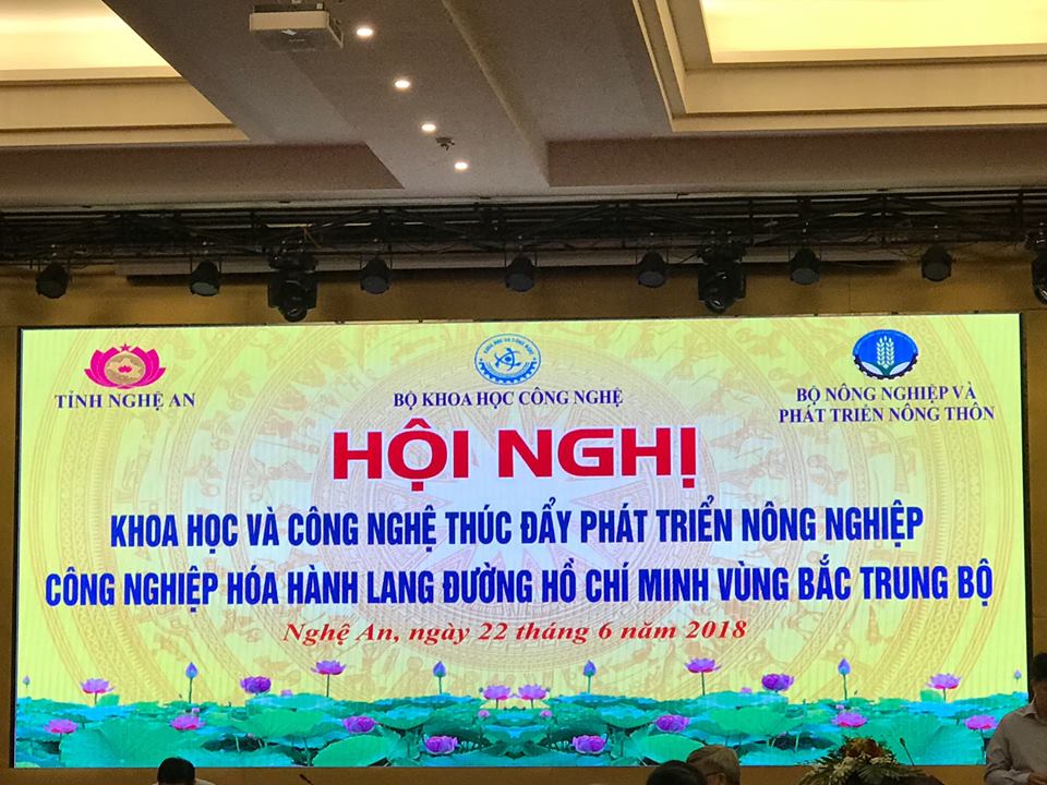 Không có ảnh
